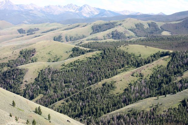 Idaho Mountains